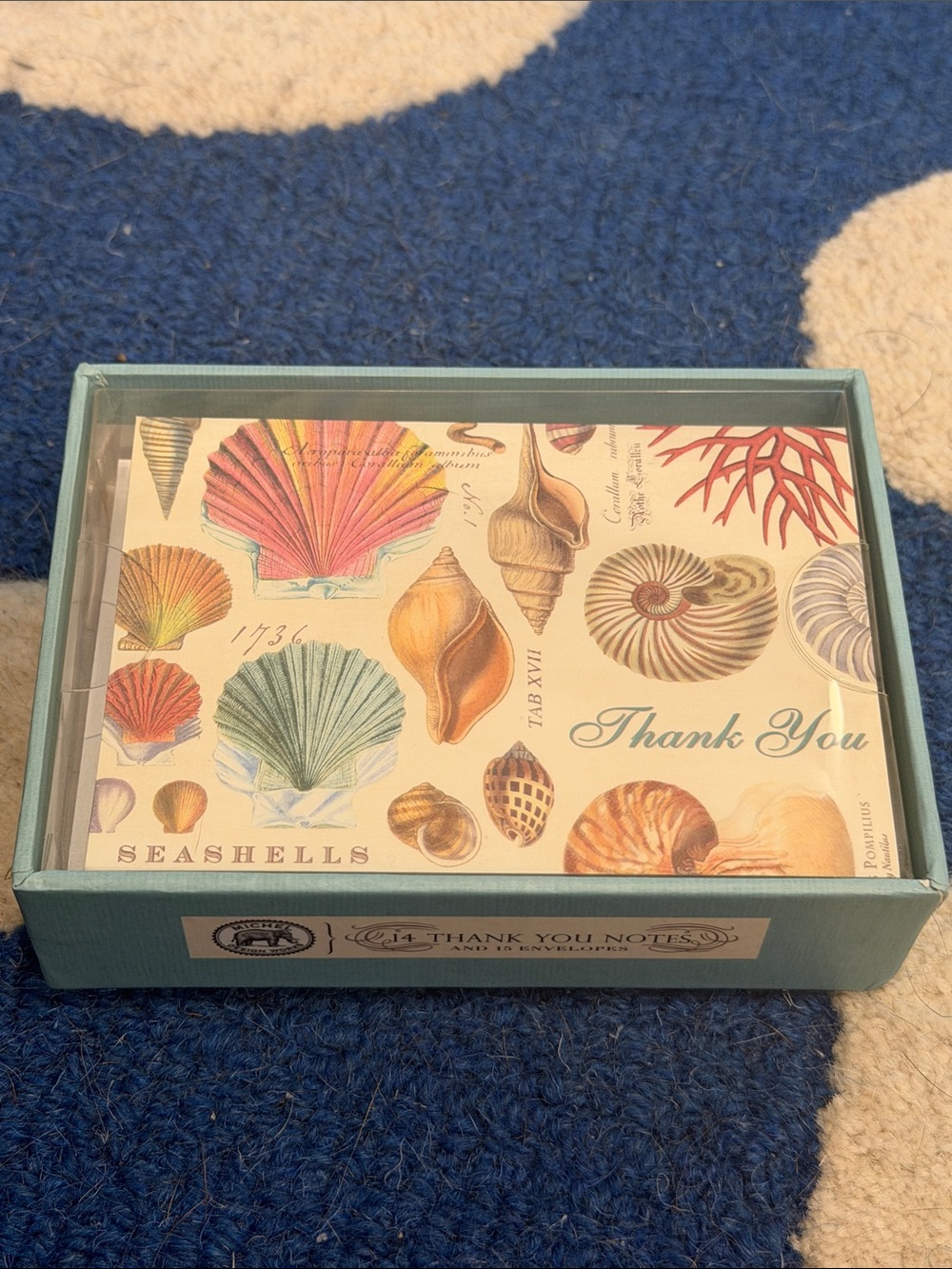 Seashell Thank You Note Set